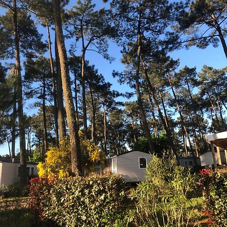 Mobile Home - Les Dunes De Contis Saint-Julien-en-Born Exterior photo